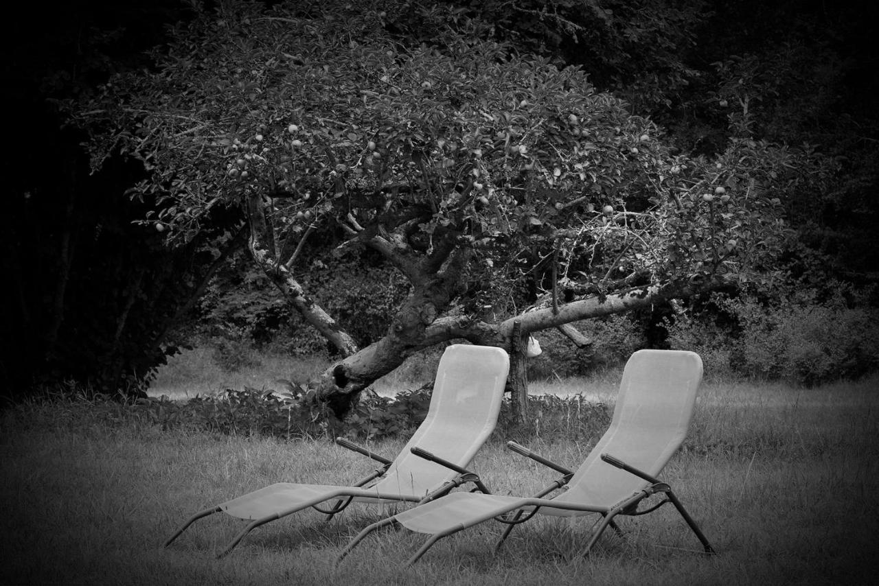 サル Les Volets Violets Bed & Breakfast エクステリア 写真